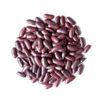 Red Kidney Bean wholesale cheap price bulk supply fast delivery
