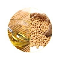 Wholesale Soybean Oil discount price bulk supply fresh stock