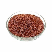 Organic style finger millet bulk order premium grains reliable supply