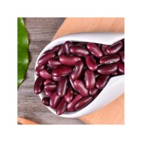 Premium red kidney beans supplied in bulk for wholesale buyers with factory price advantage