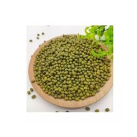 Wholesale Supplier Best Quality Green Mung Beans For Sale In Cheap Price