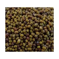 Vigna Mung Beans wholesale bulk supply cheap price export grade