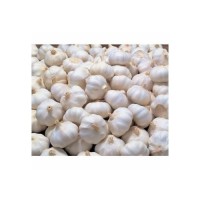 Best Quality Wholesale Fresh Peeled Garlic For Sale In Cheap Price