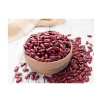 Red Kidney Bean bulk supply cheap price wholesale export quality