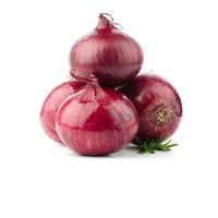 Premium quality red onions bulk supply fresh farm onions export grade wholesale