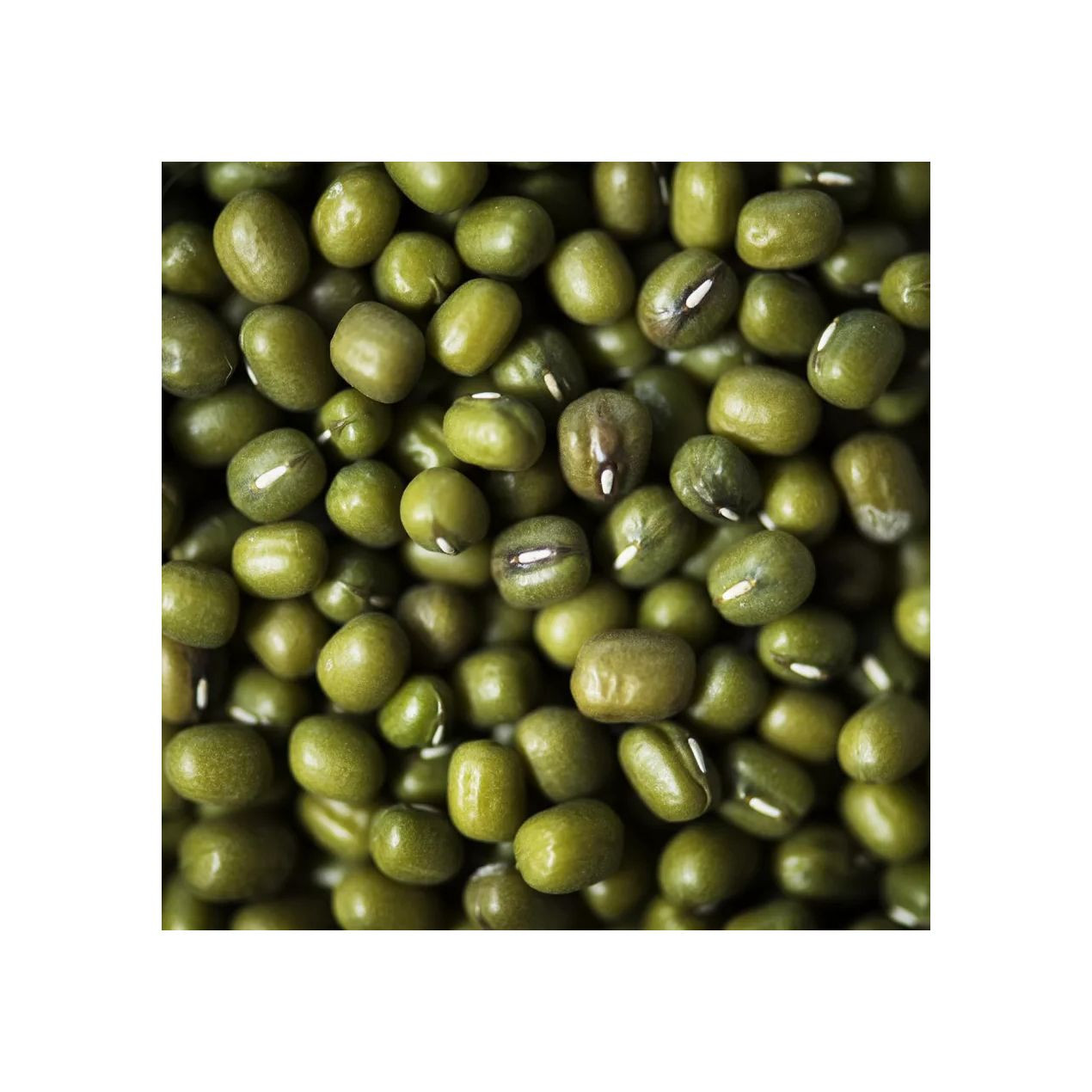 Vigna Mung Beans wholesale bulk supply cheap price export grade