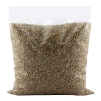 High demand pearl millet bulk order natural bajra fast shipment