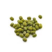 Low price Vigna Mung Beans bulk supply export quality fast shipment