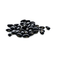 Low cost black kidney beans positioned for professional resale and trade supply