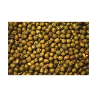 Vigna Mung Beans discount price bulk supply fresh stock wholesale
