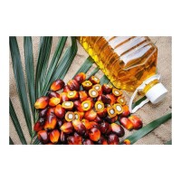 Wholesale Supply Factory price palm oil