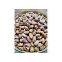 Bulk dried sugar beans ideal for wholesalers and food retailers