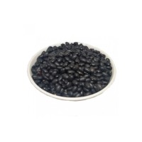 Bulk supply black kidney beans arranged for fast delivery trade channels