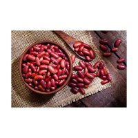 Discount price Red Kidney Bean wholesale bulk supply fresh stock