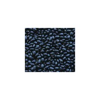 High quality black kidney beans cheap price bulk sale clean rajma fast delivery