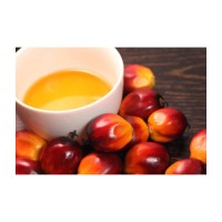 Palm Kernel Oil For export Palm oil for cheap price
