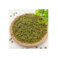Vigna Mung Beans discount price bulk supply fast shipment fresh stock