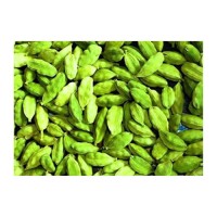 Wholesale green cardamom best price aromatic and flavorful for business buyers