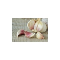 Garlic pure white garlic top grade snow white wholesale new crop fresh white garlic