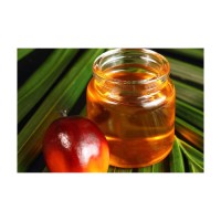 High quality Palm Oil offered with fast dispatch for volume purchase and resale