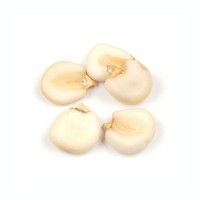 Factory price white corn wholesale clean dried maize bulk export quality