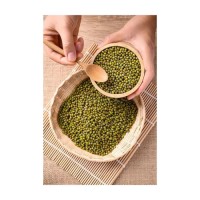 Low price Vigna Mung Beans bulk supply wholesale fast delivery