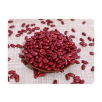 Red Kidney Bean bulk supply cheap price wholesale export quality