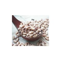 Sugar beans available for inter-national food service and distribution