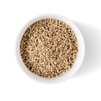 Bulk sorghum grains wholesale in 25kg and 50kg export bags