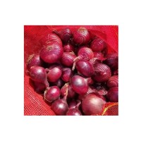 Exporters Big Red Onion Fresh Red Onion