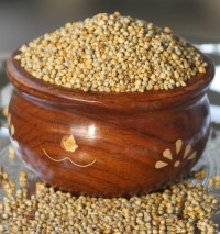 High purity pearl millet bulk order clean bajra export grade