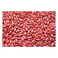 Red Kidney Bean discount price bulk supply fresh stock wholesale