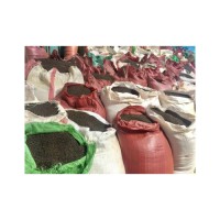 High quality Black pepper seed Hot Selling Price Of Dried Whole Black Peppers In Bulk