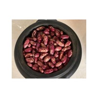 Whole sugar beans in stock for large volume orders and shipment