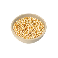 Pure sorghum grains bulk wholesale stock ready for export markets