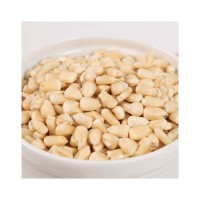 White corn wholesale deals for importers and grain suppliers