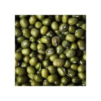 Vigna Mung Beans cheap price bulk supply wholesale fast delivery